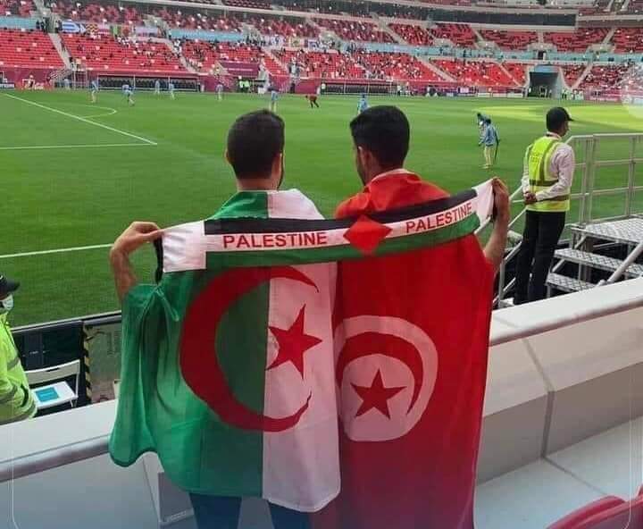 FB_IMG_1639603082387