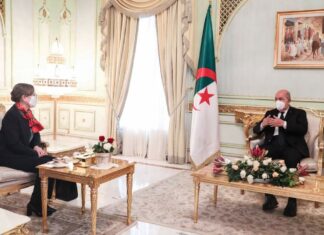 بودن: زيارة تبون إلى تونس ناجحة اقتصاديا وسياسيا واجتماعيا