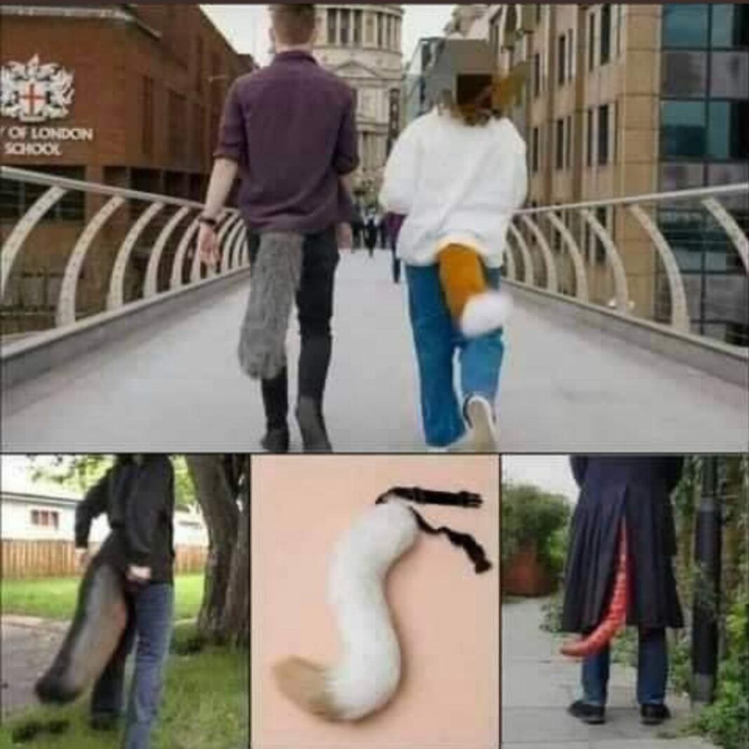 Screenshot_20211217-201111_Facebook