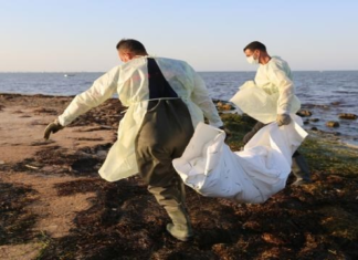 جربة: العثور على جثة شاب وتواصل البحث عن شقيقه