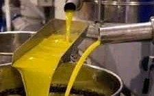 نداء إستغاثة من أصحاب المعاصر: “مصيرنا اصبح بين أيدي أربعة مصدرين والزيت سيسكب في الطرقات اذا لم تتحرك الدولة عاجلا”