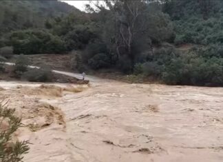 فيضان وادي المالح في طبرقة.. مواطنون يستغيثون: “وين تصب مطرة نتحصرو وحد ما يتلفتلنا”(فيديو)