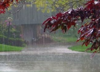 تونس مرّت بتاسع أسخن شهر خريف منذ 1970