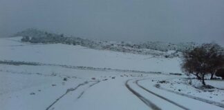 تساقط الثلوج على 7 مناطق موزعة على ولايات سليانة والقصرين والكاف والقيروان