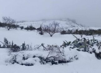 تواصل تساقط الثلوج بالمرتفعات الغربية