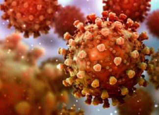 دلتاكرون… متحور جديد لفيروس كورونا يُكتشف في قبرص