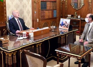 رئيس الجمهورية يستقبل وزير الشؤون الاجتماعية