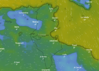 ضعف تدريجي في فاعلية التغيرات الجوية الليلة والحرارة بين 5 و10 درجات
