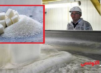 مصنع السكّر الذى يوفّر نصف إنتاج تونس من السكّر مهدّد بالتوقّف
