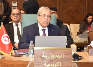 وزير الخارجية يلتقي في القاهرة نظيريه السعودي والقطري