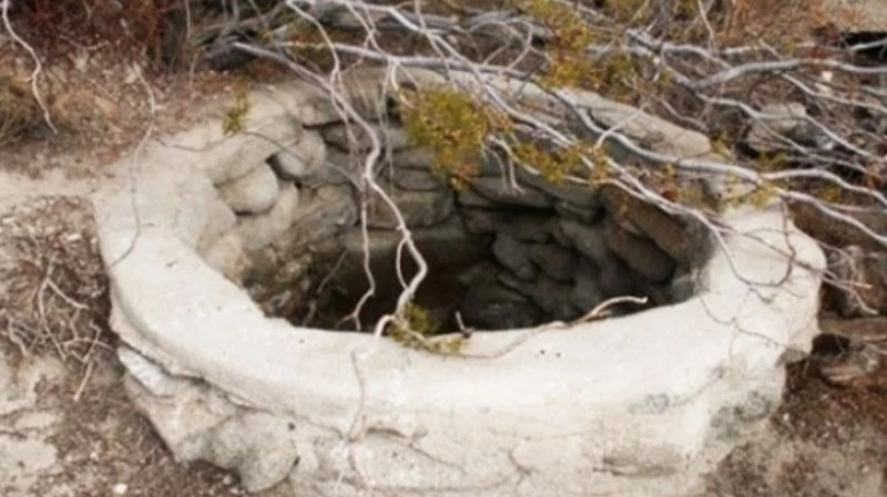 7f11ae1a-22d1-4bf8-bb71-1c1d4ce8b873