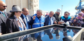 (فيديو) انطلاق عملية شفط القازوال المتسرب من محرك السفينة ‘إكسيلو’