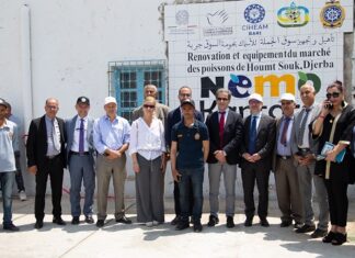 مشروع نيمو قنطـــرة: إفتتاح مواقع بناء خمسة أرصفة لرسو قوارب الصيد في ولاية مدنين وتجديد سوق الأسماك بحومة السوق بجربة