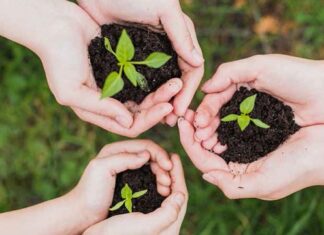 وزير التربية ووزيرة البيئة يقرّان بأهمية إدراج التربية البيئية ضمن المناهج التعليمية في تونس