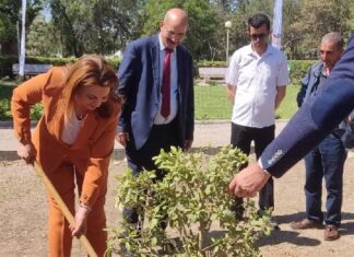 تدشين حديقة عمومية هيئتها شركة توتال أنرجي تونس