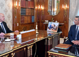 ماذا في لقاء قيس سعيّد بوزير الداخلية؟