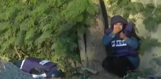 (فيديو) لحظة استشهاد الصحفية شيرين أبو عاقلة