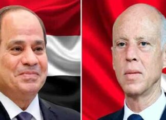 بعد عملية سيناء الإرهابية: قيس سعيد يعزّي السيسي