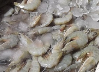 كانت متّجهة إلى نُزل في طبرقة: حجز 1300 كغ من ‘كريفات’ الفاسد بقيمة 20 ألف دينار
