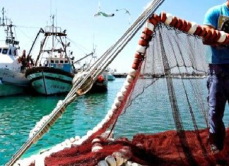 وزير الفلاحة: لا بد من تكثيف الجهود للتصدي لظاهرة الصيد البحري العشوائي