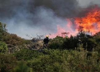 باجة: نشوب 6 حرائق متزامنة وإجلاء 5 عائلات في جبل طبوبة