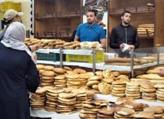 مشروع جديد للبنك الدولي لمواجهة تحديات الأمن الغذائي في تونس