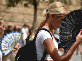 مصرع أكثر من 1700 شخص جراء موجة الحر في إسبانيا والبرتغال