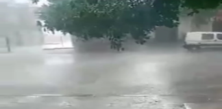 (فيديو) جلمة: نزول أمطار غزيرة