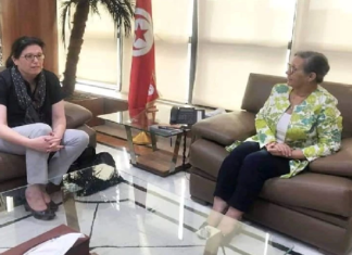 ممثلة برنامج الأمم المتحدة الإنمائي تؤكد مواصلة دعم جهود تونس التنموية