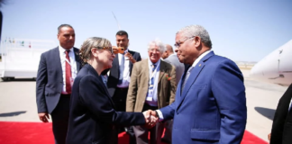 (صور) رئيسة الحكومة تستقبل رؤساء غامبيا وتنزانيا والسيشال