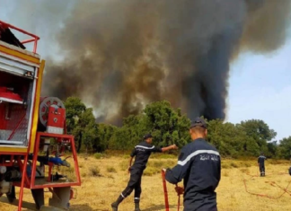 برقو: السيطرة على حريق جبل عين زكّار