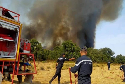 برقو: السيطرة على حريق جبل عين زكّار