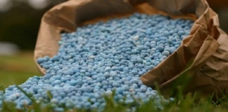 الحفاظ على أسعار الأسمدة الكيميائية المعدة للإنتاج الفلاحي دون ترفيع
