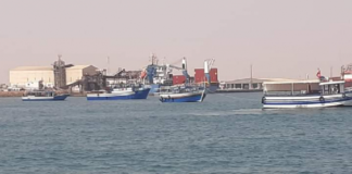 جرجيس: بحارة يخرجون للبحث عن مفقودين في عملية ‘حرقة’