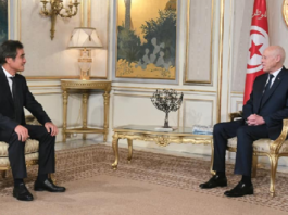 ماذا في لقاء رئيس الدولة بسفير اليابان؟