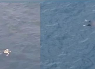 (فيديو) جرجيس: تسخير مروحية تابعة للحرس الوطني للبحث عن جثث المفقودين