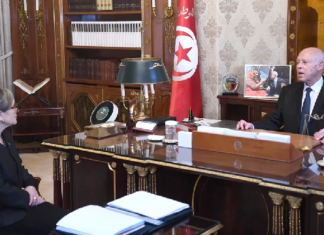 سعيّد: الهجرة غير النظامية ما كان لها أن تتحول إلى ظاهرة إلا نتيجة حيتان البرّ الذين ينكلون بالشعب