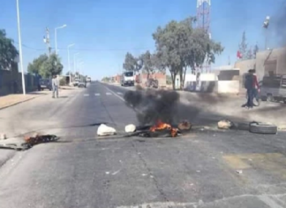 القيروان: غلق الطريق الحزامية إثر حادث مرور أدى لإصابة راعية ونفوق 11 رأس غنم