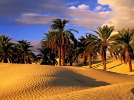 توزر: مسلك سياحي يعتمد التخييم في الصحراء ينتظر الترخيص النهائي