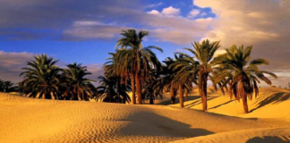 توزر: مسلك سياحي يعتمد التخييم في الصحراء ينتظر الترخيص النهائي