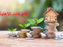 بنك التضامن: توفير تمويل لـ32 شركة أهلية بالشراكة مع وزارة التشغيل