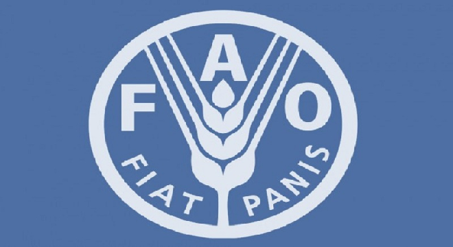 Sans titre
