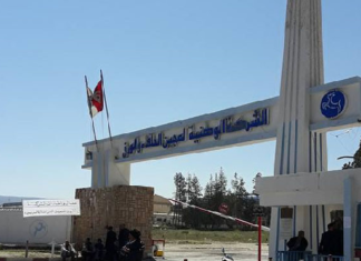 ‘تسريح بعض عمال شركة عجين الحلفاء’.. وزارة الصناعة تُوضح