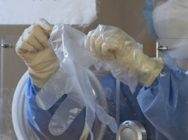 96 إصابة بفيروس ‘شيغيلا’ في تونس