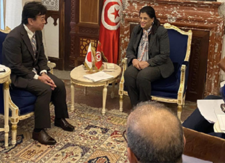 ماذا في لقاء وزيرة المالية بالسفير الياباني بتونس؟