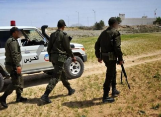 في قبلّي وجندوبة: ضبط 4 أجانب تسلّلوا إلى تونس