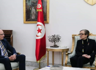 ماذا في لقاء رئيسة الحكومة بسفير الاتحاد الأوروبي؟