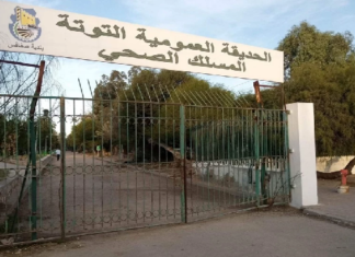 ما حقيقة رفض رئيس بلدية صفاقس قبول أسد كهبة لفائدة الحديقة العمومية؟