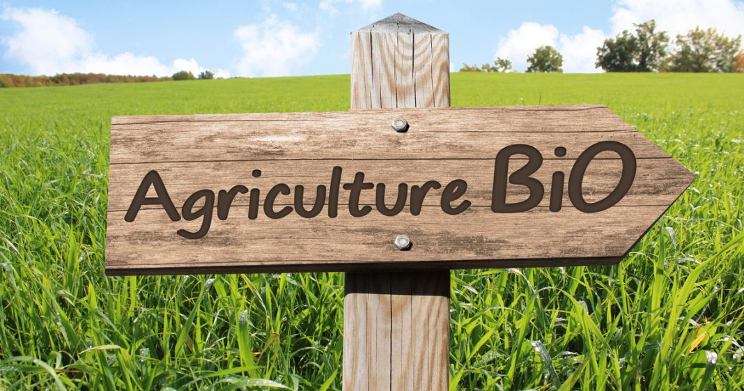 Agriculture Bio, panneau en bois dans paysage nature et campagne