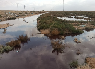 ‘تسرب المرجين بالشراردة’.. منتدى يدعو للتدخل الفوري